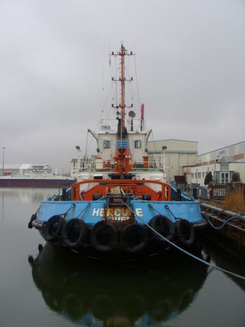 hercule - penhoet - 23 janvier 2010.JPG
